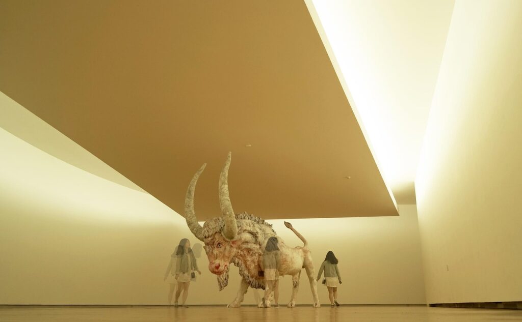 育毛サプリと育毛剤、どっちが効果的なの？