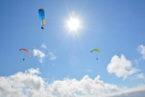 育毛サプリの効果が実証された事例とは？