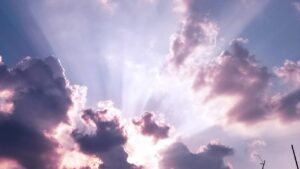 育毛サプリの効果に関する最新の論文は何を示しているのか？