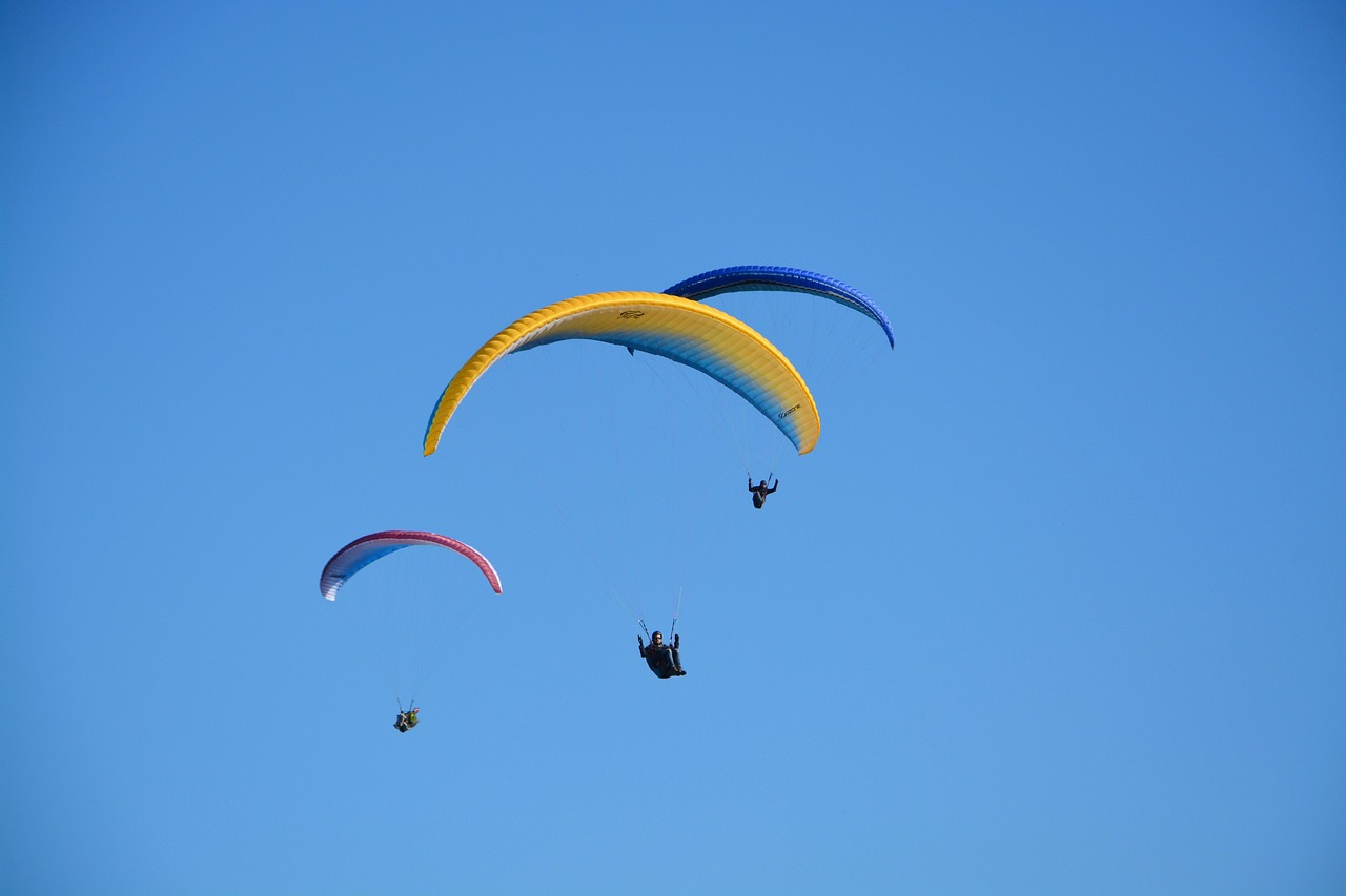 育毛サプリの効果が実証済みの製品はどれですか？