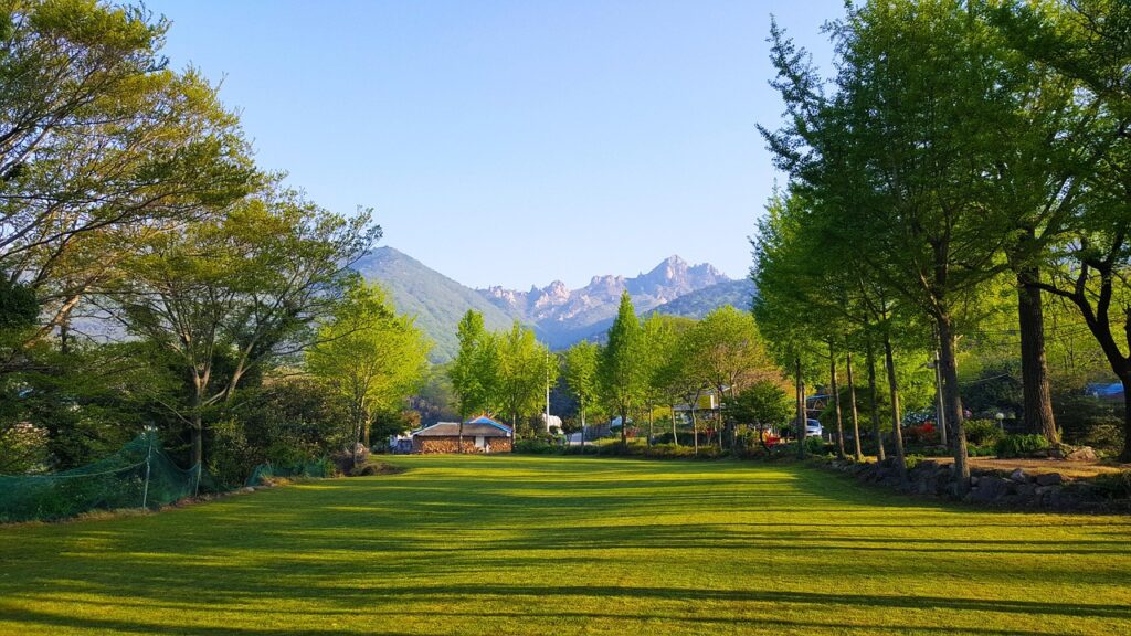 育毛サプリの効果は何ヶ月で実感できるのか？