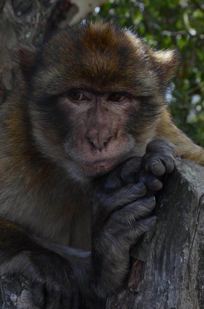 育毛サプリの比較ランキングでおすすめはどれ？