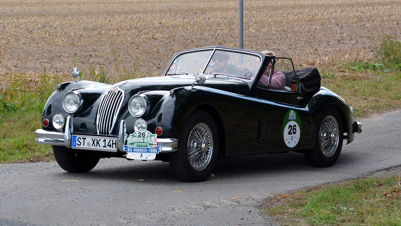 DHCの育毛サプリにはどんな効果があるの？