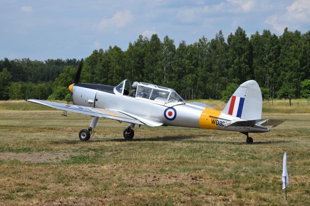 DHCの育毛サプリの効果は本当にあるのか？