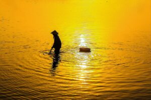 フィンジアサプリの口コミでわかる実際の効果とは？