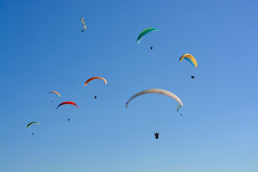 育毛サプリの効果を実証した研究とは？