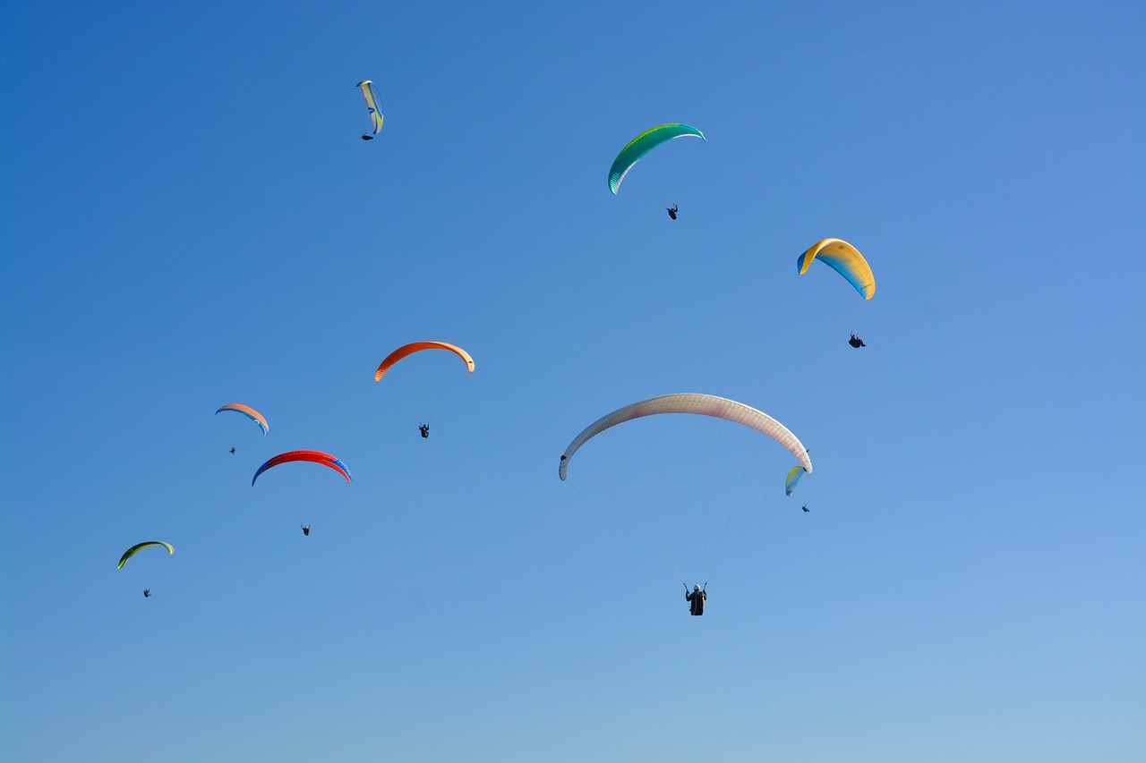 育毛サプリの効果を実証した研究とは？