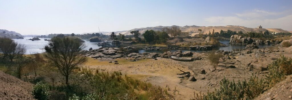 AGAサプリの効果は本当にあるのか？