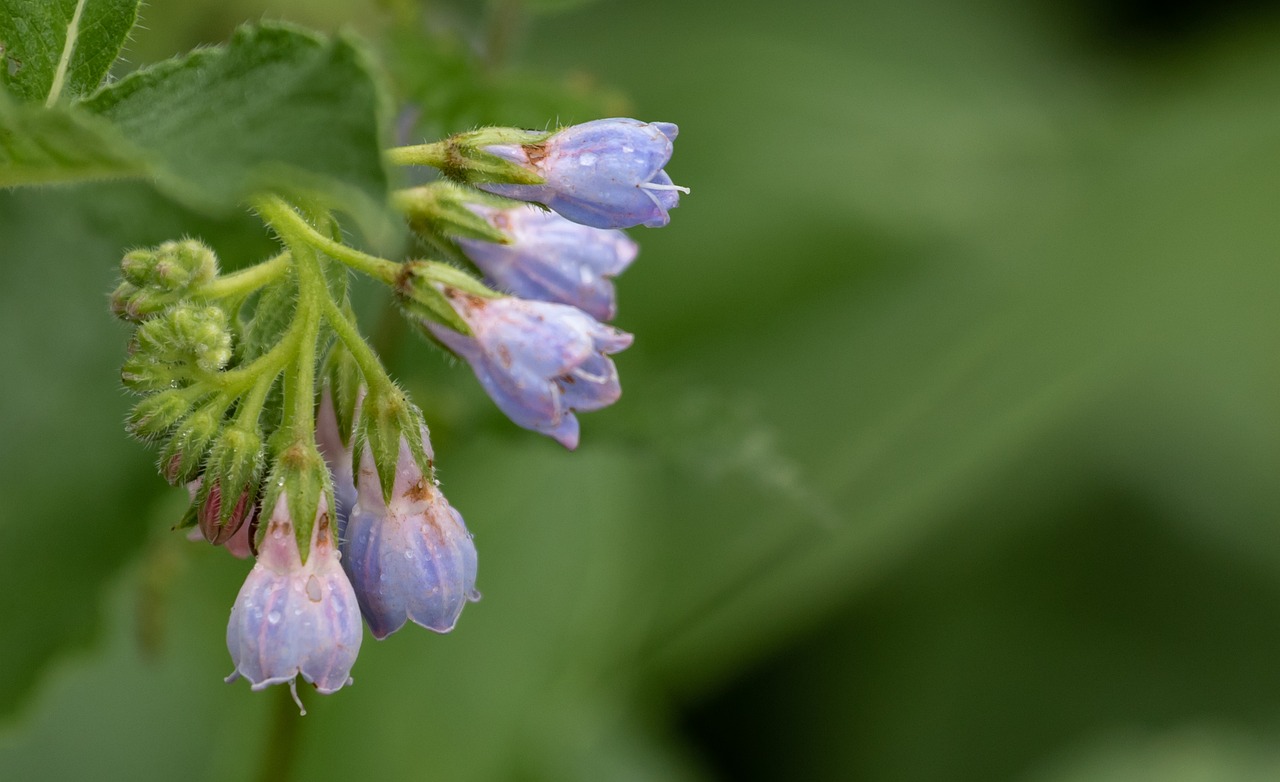 育毛サプリのニキビへの副作用はあるのか？