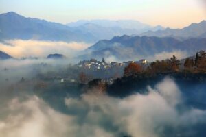 薄毛対策に効果的なサプリはノコギリヤシだけなの？