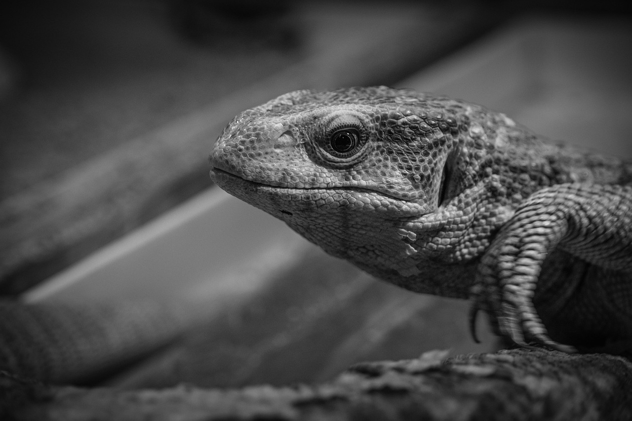 頭皮環境を改善するためのサプリはどれがおすすめ？