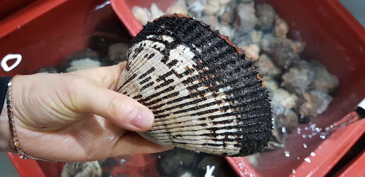 無添加育毛サプリのおすすめ商品はどれですか？