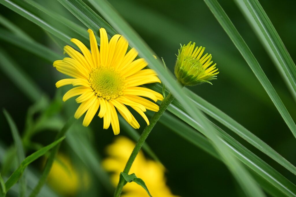 産後の抜け毛対策におすすめのサプリは？