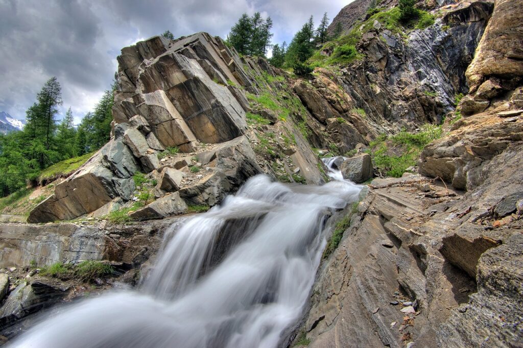 育毛サプリで頭皮環境を改善する方法は？