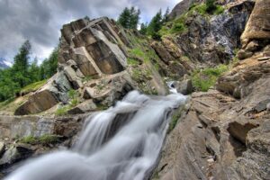 育毛サプリで頭皮環境を改善する方法は？