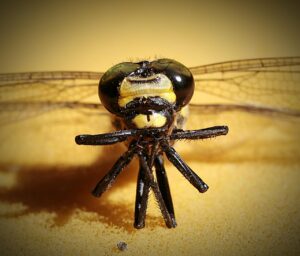 育毛サプリを飲み忘れた時の対策は？