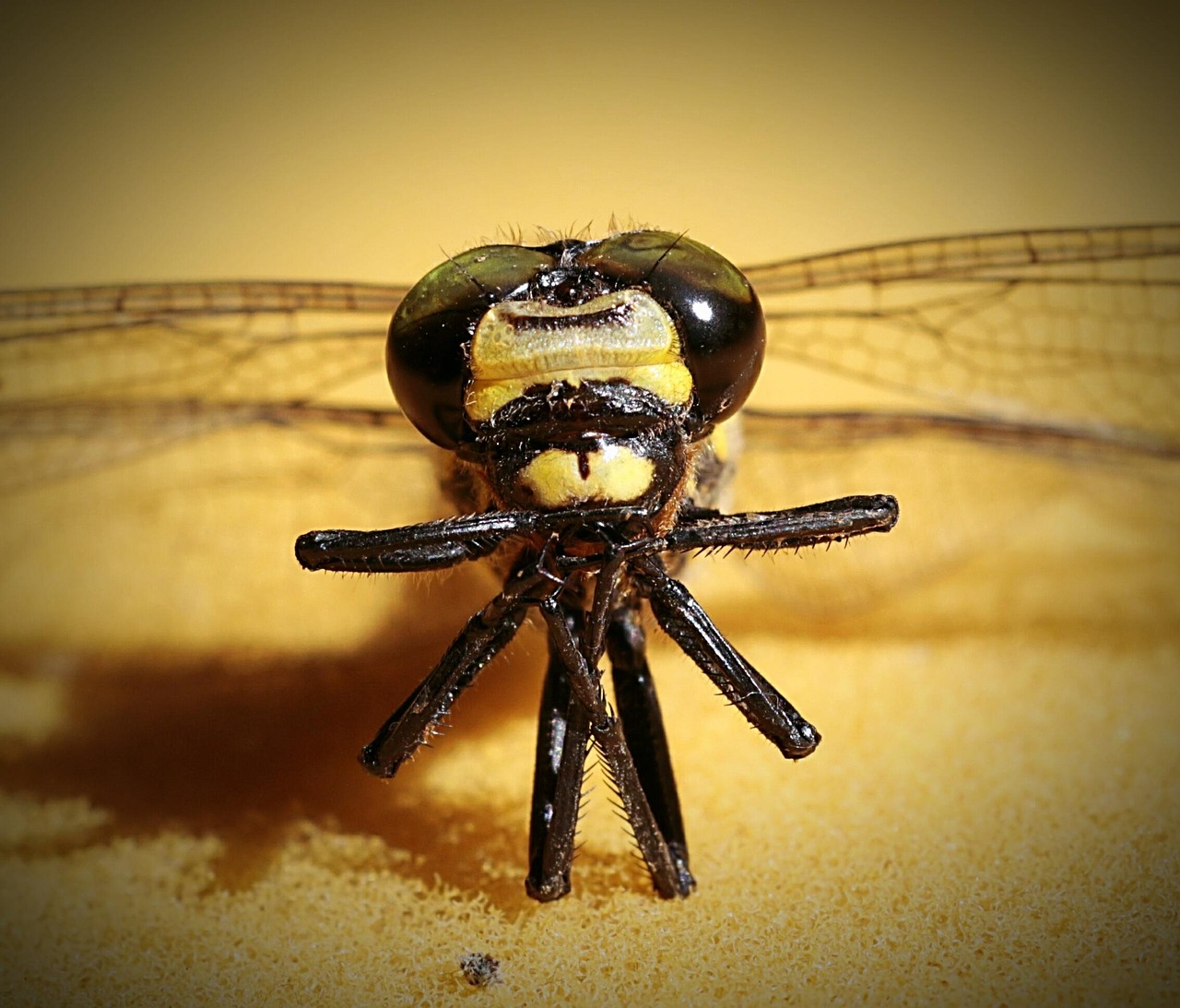 育毛サプリを飲み忘れた時の対策は？