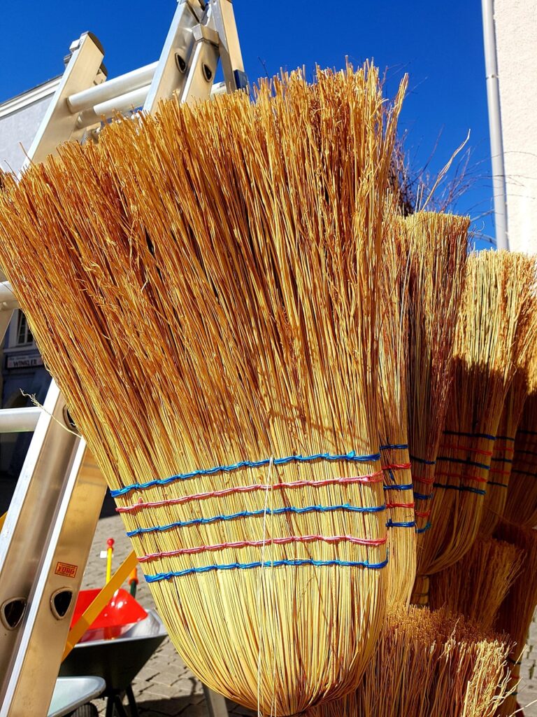 育毛サプリの人気ランキングで効果的な商品は？