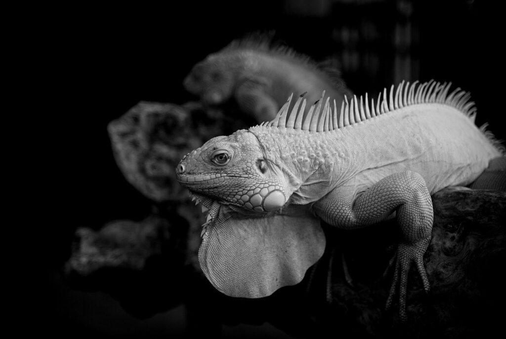 育毛サプリを使った予防の目的とは？