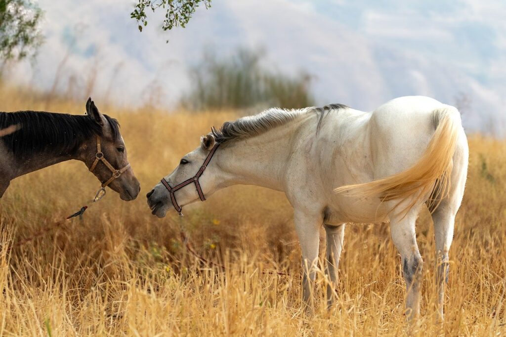 育毛サプリと薬の相互作用はどう確認すればいい？
