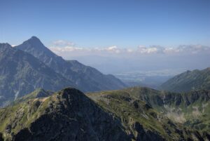 育毛サプリの最安値はどこ？最新情報を徹底比較！