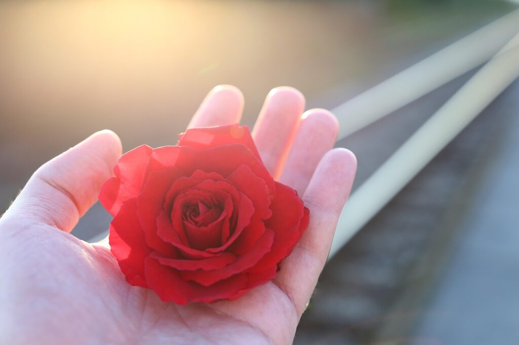 育毛サプリは即効で効くの？効果を実感するためのポイントとは？